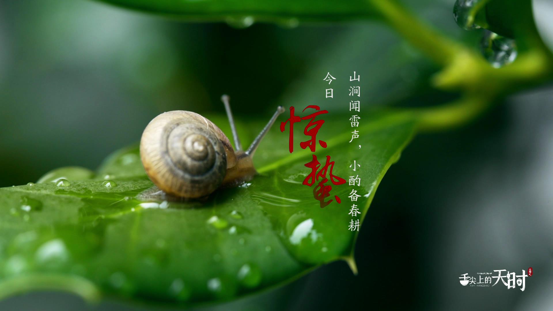 &#20896;&#20122;&#23448;&#26041;&#22312;&#32447;&#20837;&#21475;&#45;&#20896;&#20122;&#65288;&#20013;&#22269;&#65289;